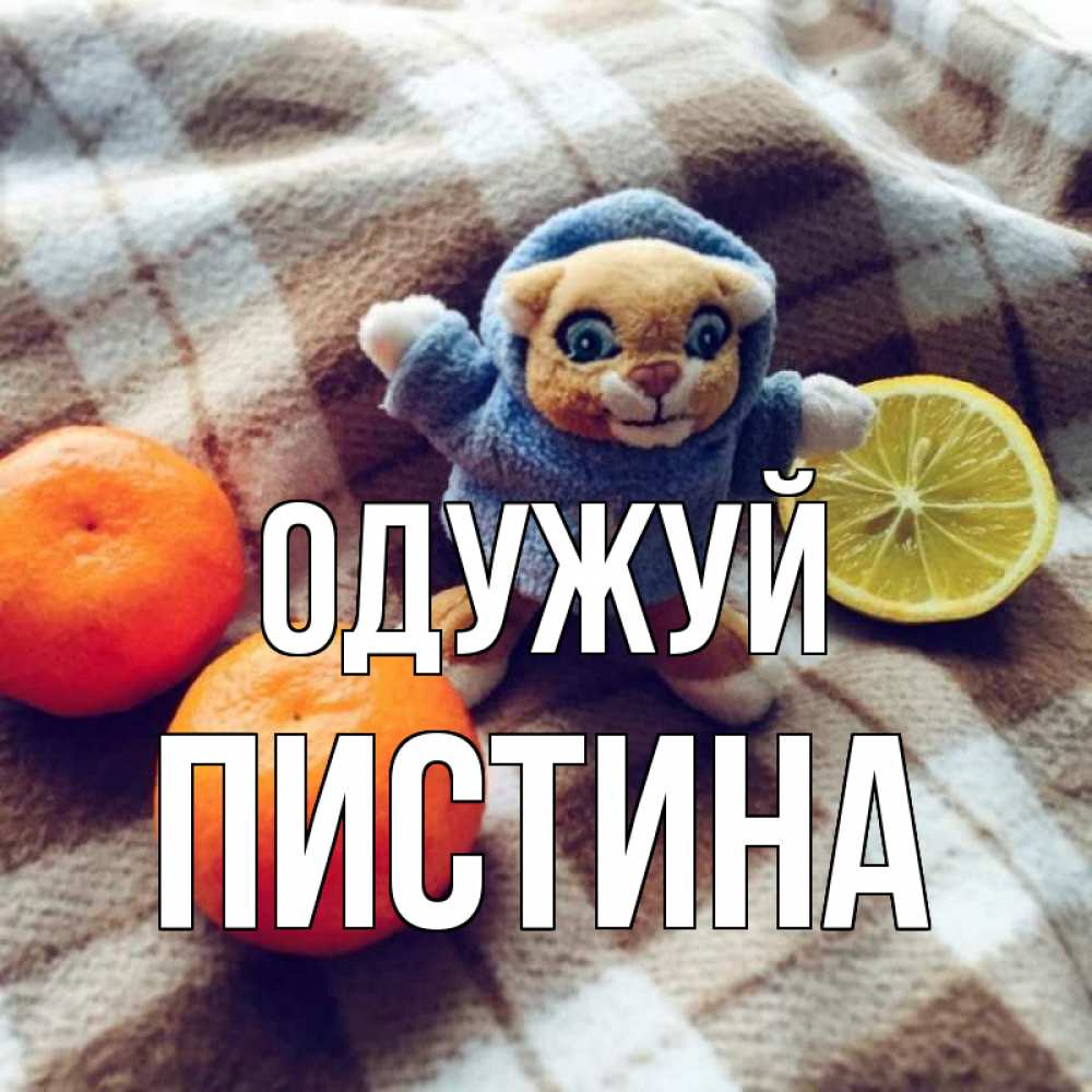 Открытка на каждый день з підписом, Пистина Одужуй вот тебе апельсинка и лимон Прикольна листівка з побажанням онлайн скачати безкоштовно 