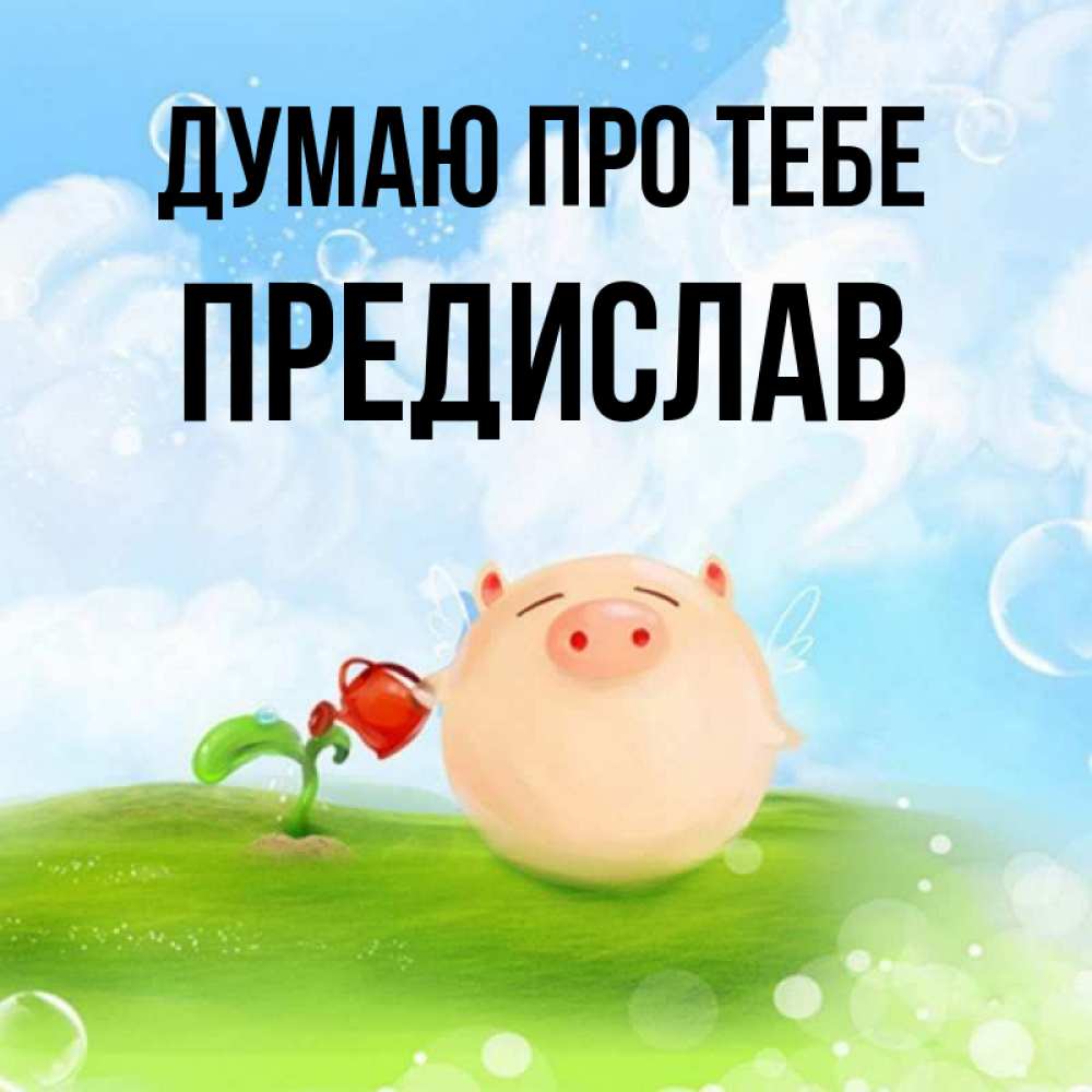 Открытка на каждый день з підписом, Предислав Думаю про тебе позитивная свинюшка Прикольна листівка з побажанням онлайн скачати безкоштовно 