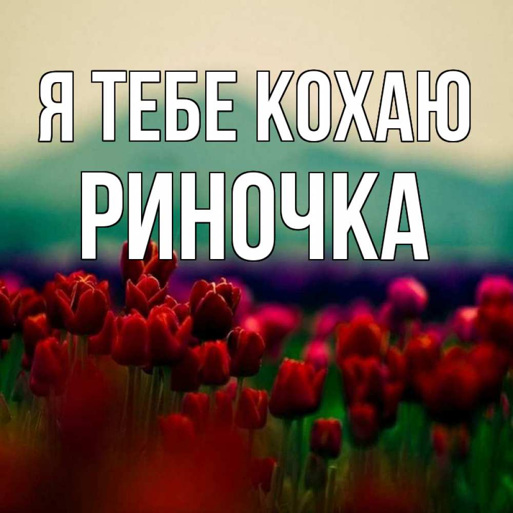 Открытка на каждый день з підписом, Риночка Я тебе кохаю тюльпаны 4 Прикольна листівка з побажанням онлайн скачати безкоштовно 