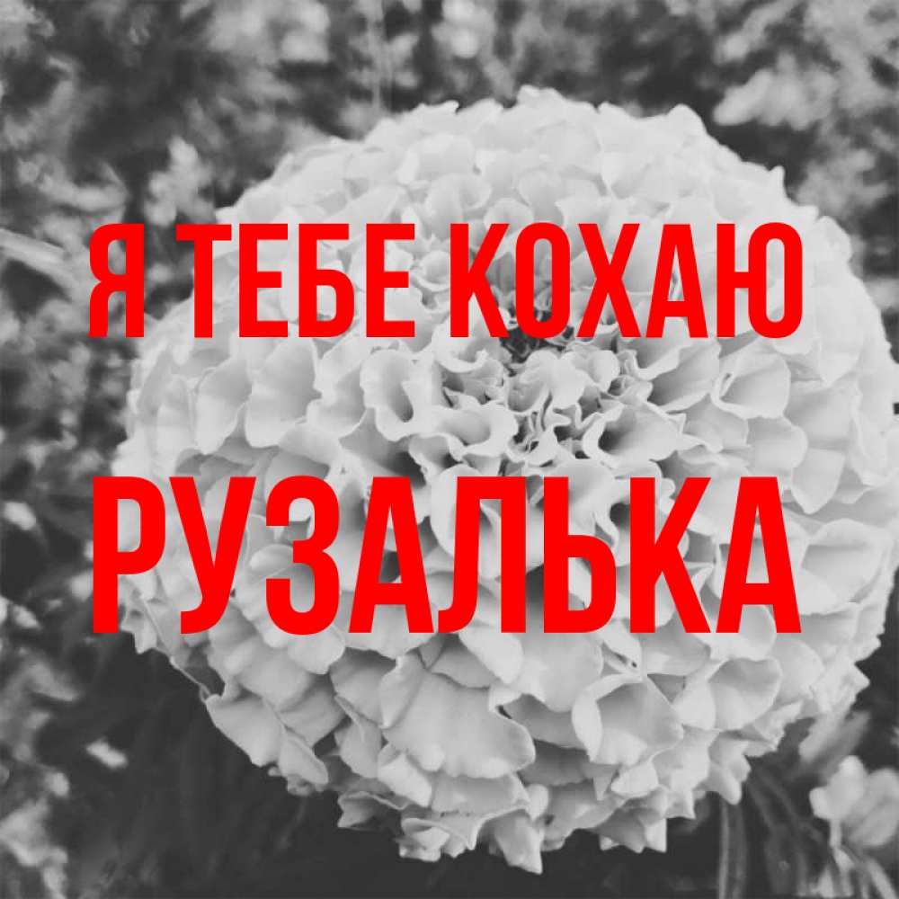 Открытка на каждый день з підписом, Рузалька Я тебе кохаю подпись Прикольна листівка з побажанням онлайн скачати безкоштовно 