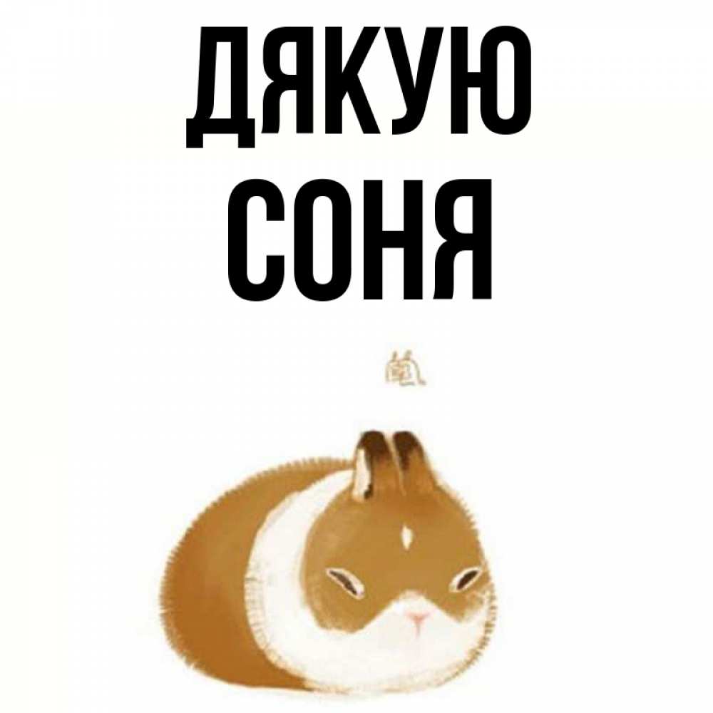 Открытка на каждый день з підписом, Соня Дякую коричнево белый домашний питомец Прикольна листівка з побажанням онлайн скачати безкоштовно 