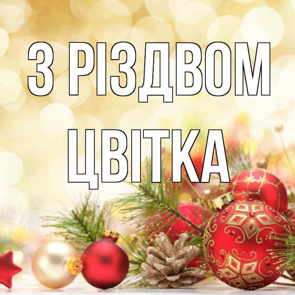 Открытка на каждый день з підписом, Цвітка З Різдвом с рождеством Прикольна листівка з побажанням онлайн скачати безкоштовно 