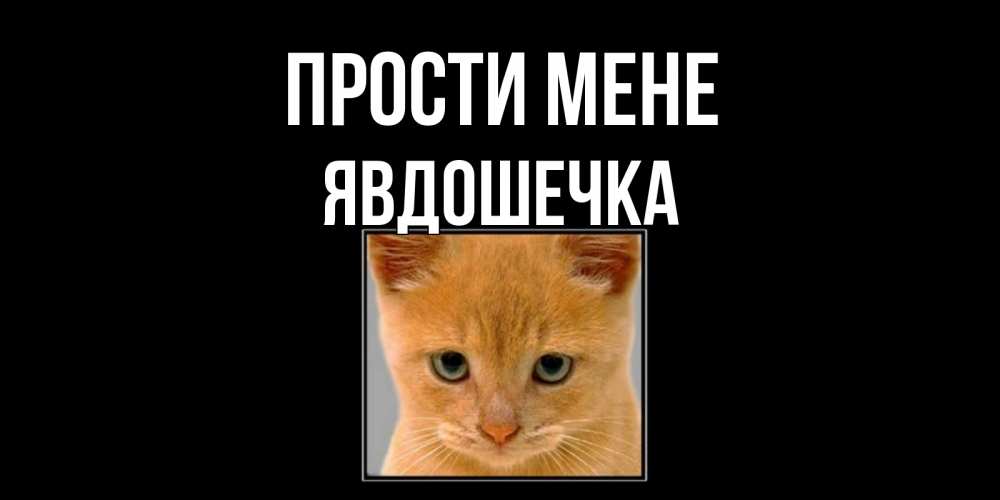 Открытка на каждый день з підписом, Явдошечка Прости мене рыжий грустный кот просит прощения Прикольна листівка з побажанням онлайн скачати безкоштовно 