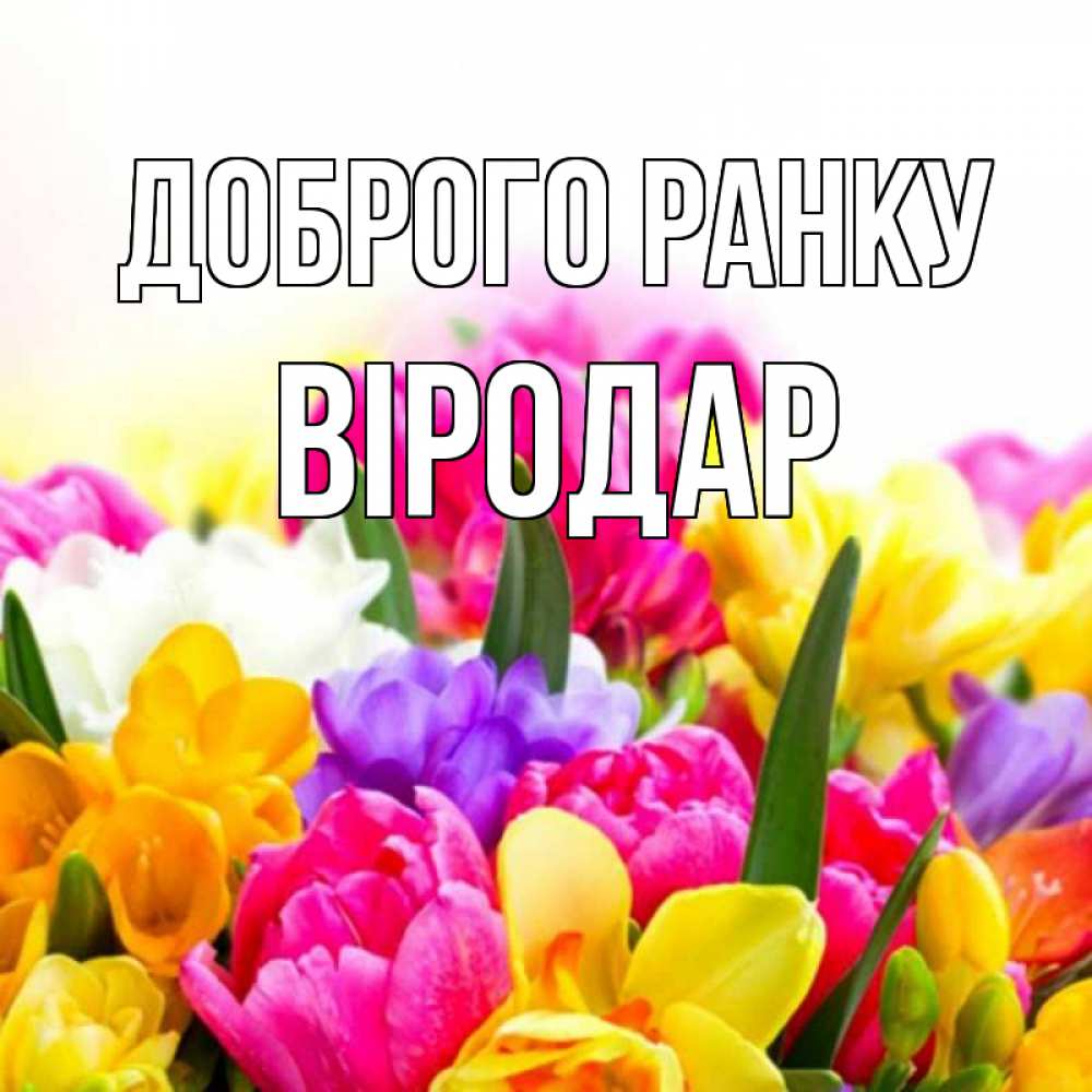Открытка на каждый день з підписом, Віродар Доброго ранку создать открытку со свое подписью Прикольна листівка з побажанням онлайн скачати безкоштовно 