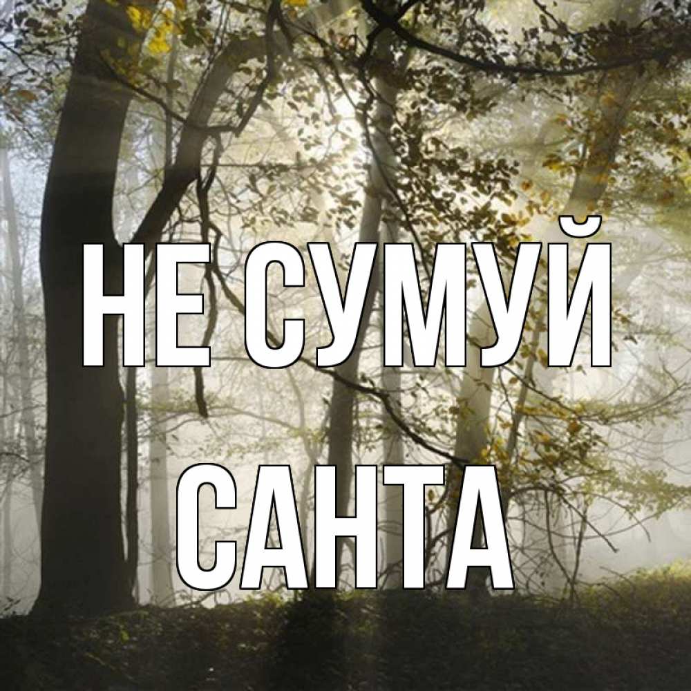 Открытка на каждый день з підписом, Санта Не сумуй лес и свет Прикольна листівка з побажанням онлайн скачати безкоштовно 