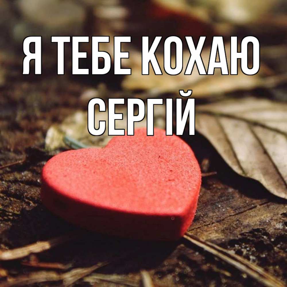 Открытка на каждый день з підписом, Сергій Я тебе кохаю листья деревье 4 Прикольна листівка з побажанням онлайн скачати безкоштовно 