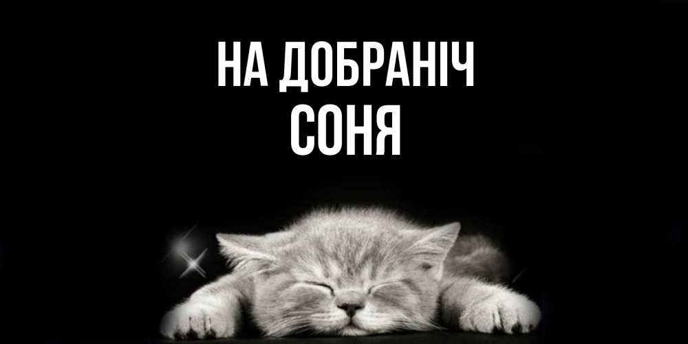 Открытка на каждый день з підписом, Соня На добраніч спящий котик Прикольна листівка з побажанням онлайн скачати безкоштовно 