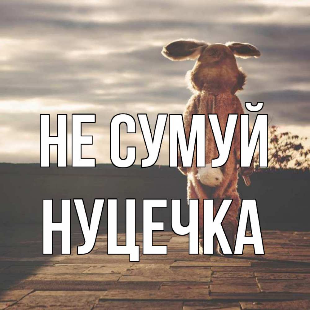 Открытка на каждый день з підписом, Нуцечка Не сумуй со спины Прикольна листівка з побажанням онлайн скачати безкоштовно 