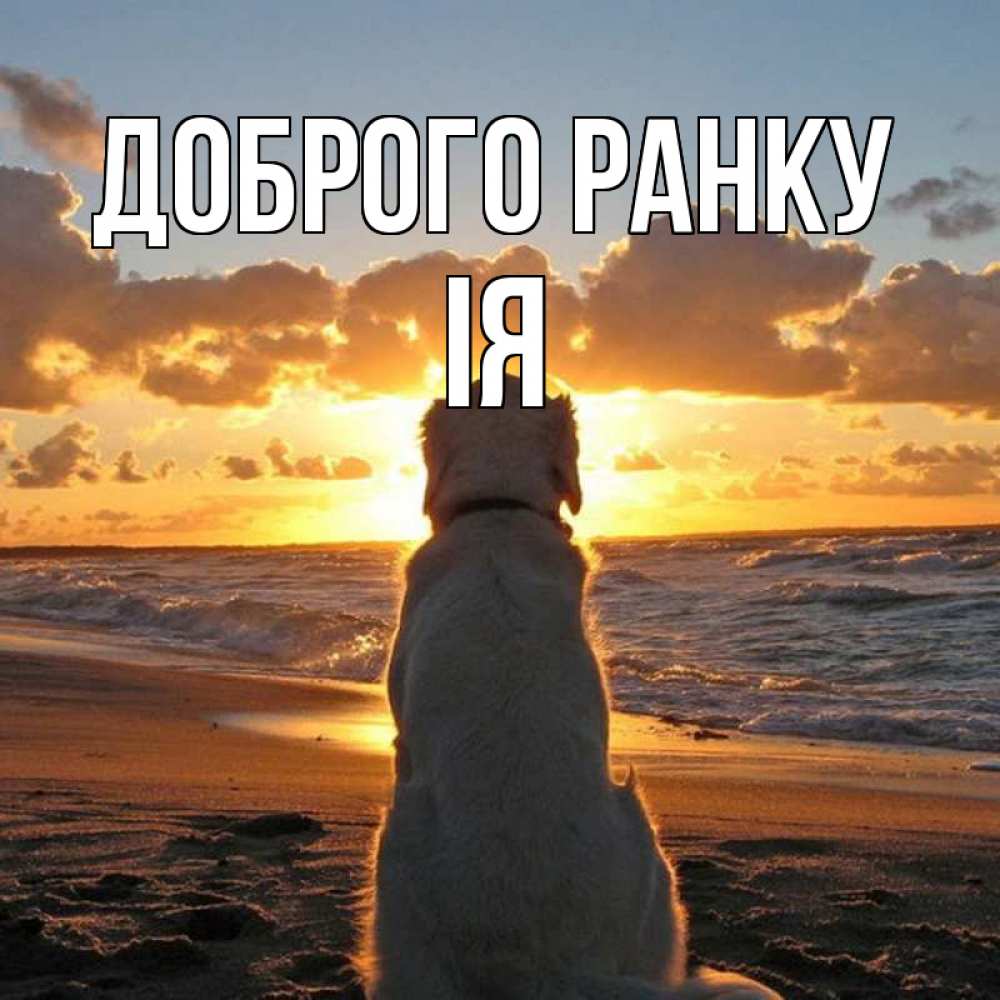 Открытка на каждый день з підписом, Ія Доброго ранку восход солнца Прикольна листівка з побажанням онлайн скачати безкоштовно 