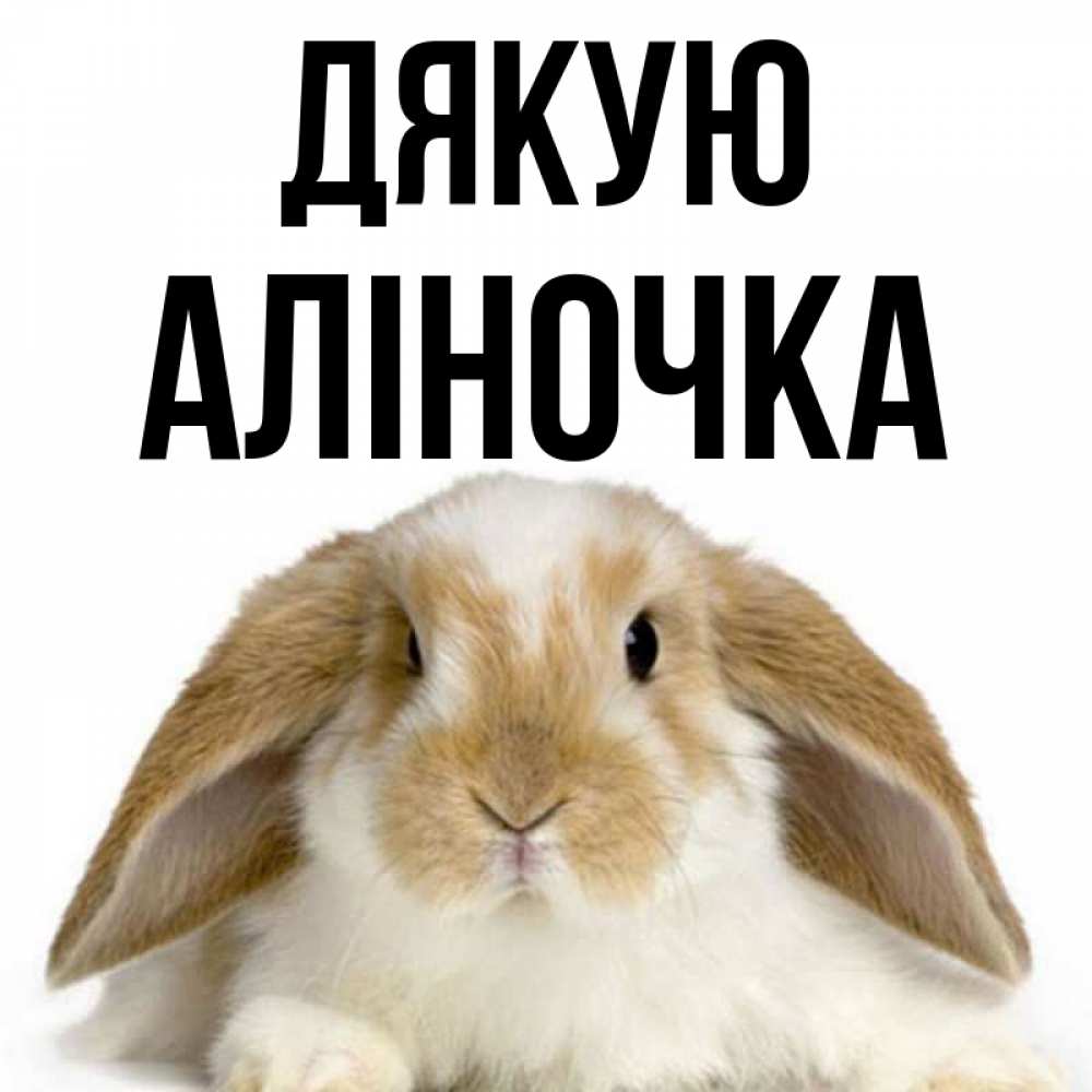 Открытка на каждый день з підписом, Аліночка Дякую коричнево белый заяц Прикольна листівка з побажанням онлайн скачати безкоштовно 