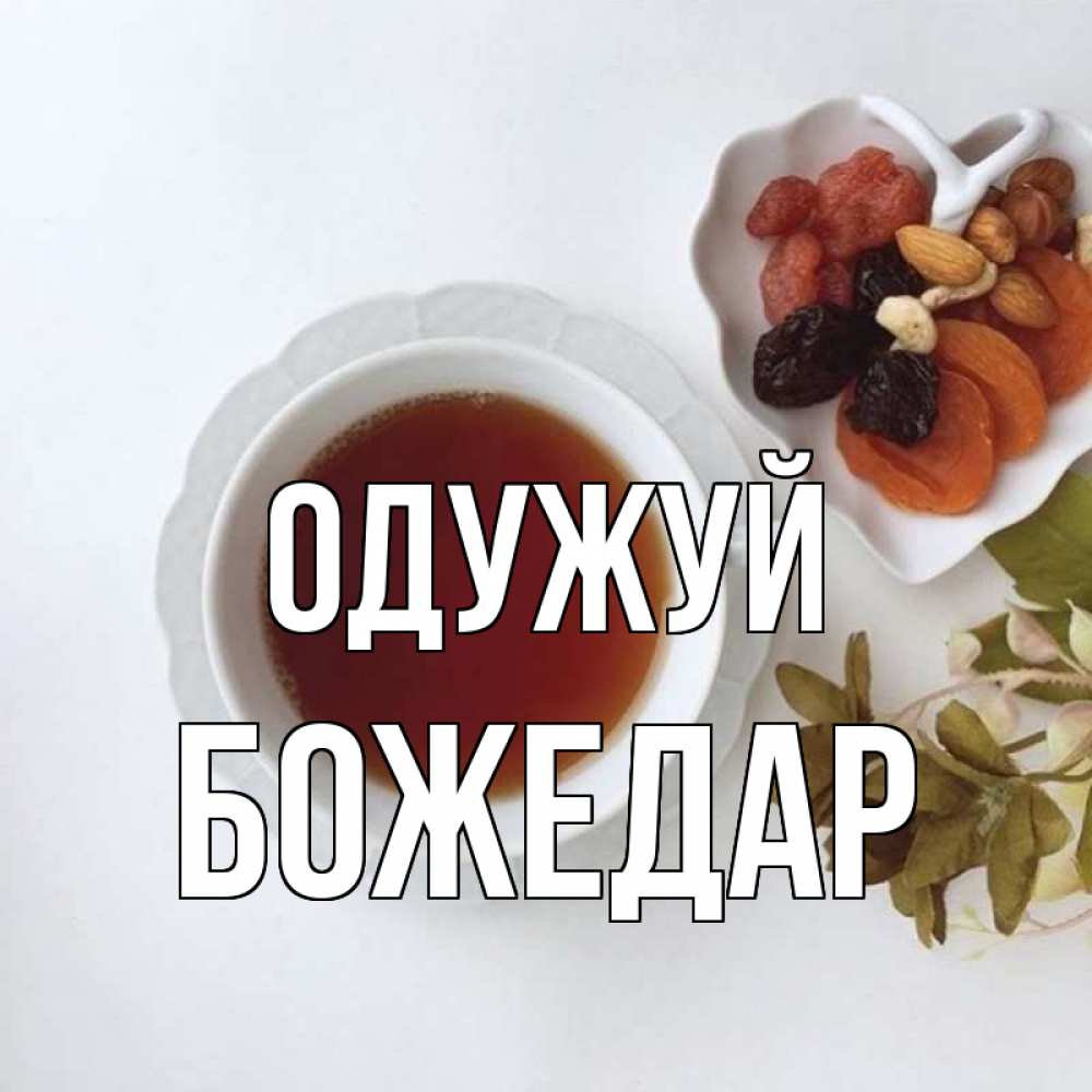 Открытка на каждый день з підписом, Божедар Одужуй неизвестные растения Прикольна листівка з побажанням онлайн скачати безкоштовно 
