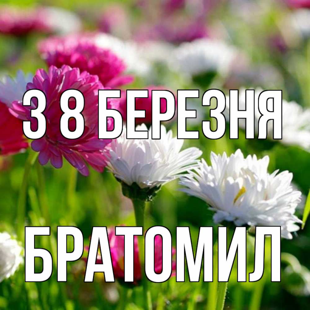 Открытка на каждый день з підписом, Братомил З 8 БЕРЕЗНЯ международный женский день 1 Прикольна листівка з побажанням онлайн скачати безкоштовно 