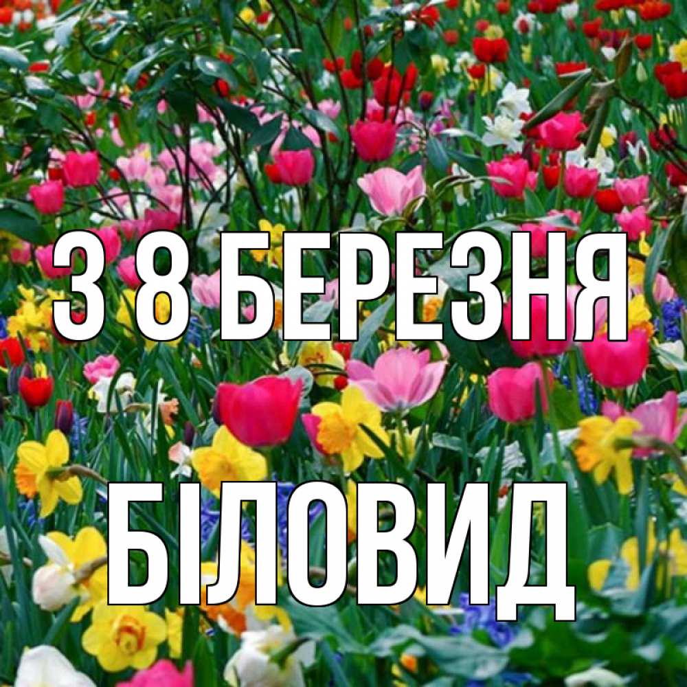 Открытка на каждый день з підписом, Біловид З 8 БЕРЕЗНЯ с международным женским днем поздравления для женщины Прикольна листівка з побажанням онлайн скачати безкоштовно 