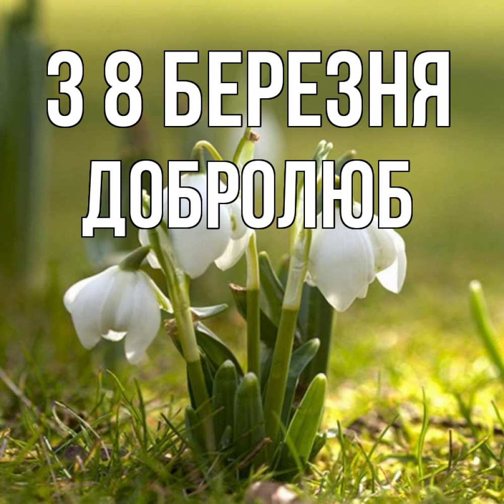 Открытка на каждый день з підписом, Добролюб З 8 БЕРЕЗНЯ ранние цветы 2 Прикольна листівка з побажанням онлайн скачати безкоштовно 