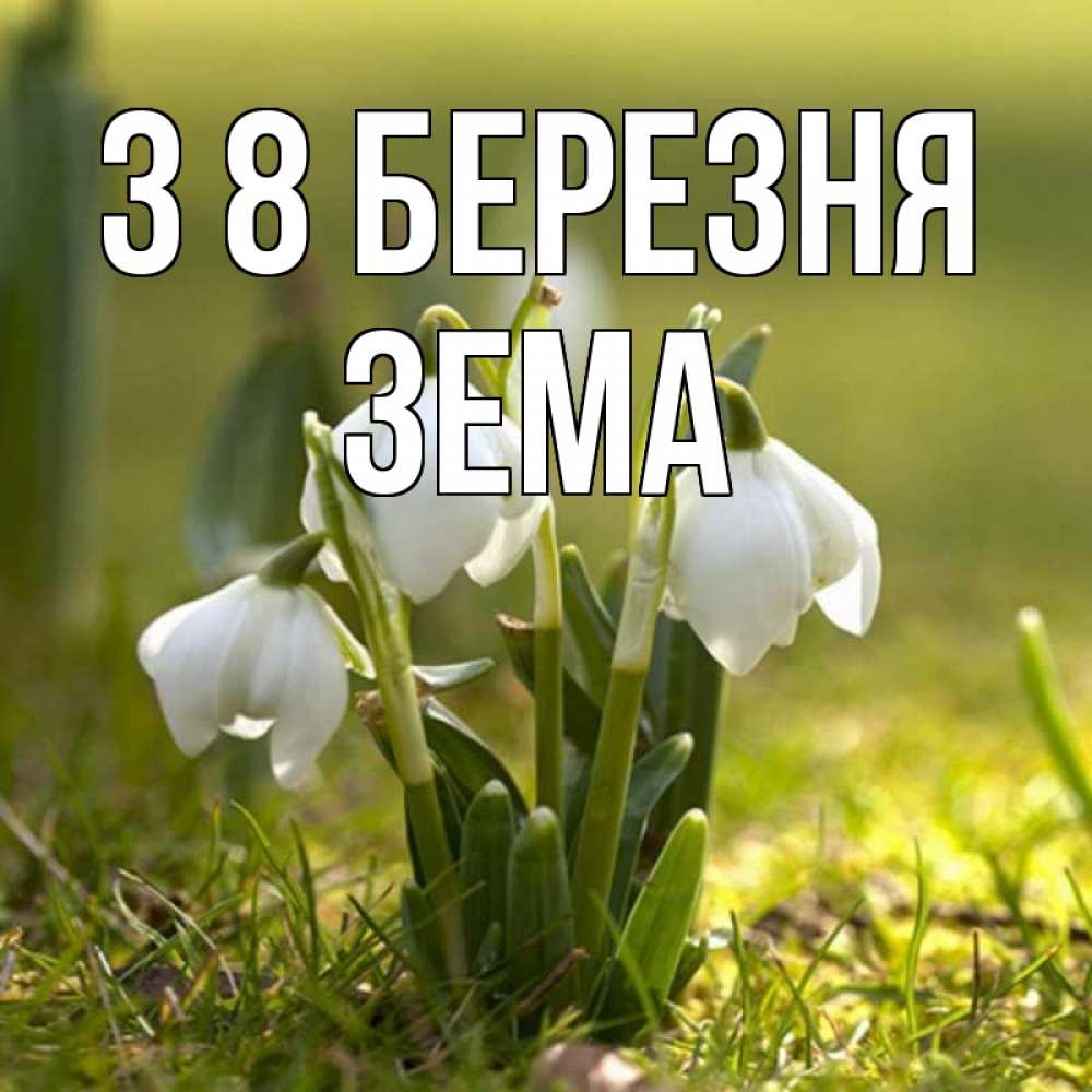 Открытка на каждый день з підписом, Зема З 8 БЕРЕЗНЯ ранние цветы 2 Прикольна листівка з побажанням онлайн скачати безкоштовно 