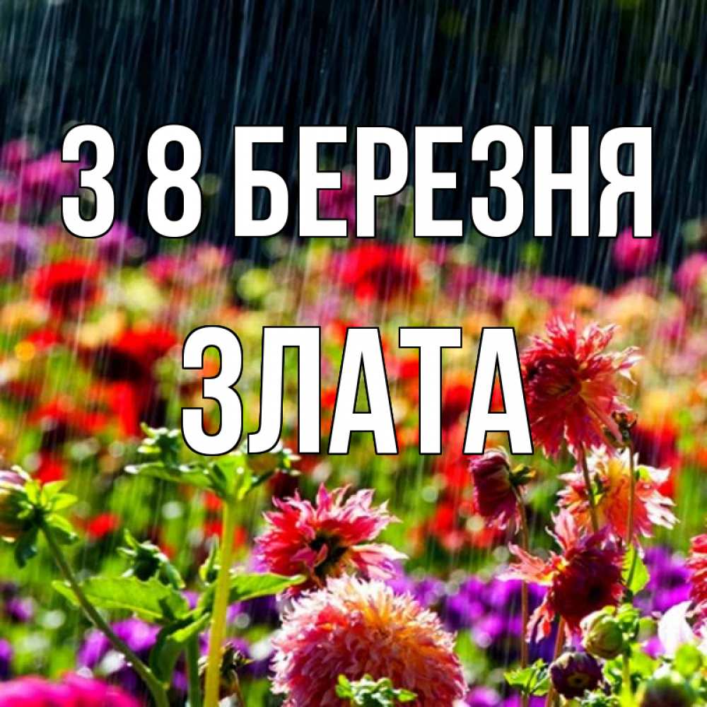 Открытка на каждый день з підписом, Злата З 8 БЕРЕЗНЯ цветы под дождиком к международному женскому дню Прикольна листівка з побажанням онлайн скачати безкоштовно 