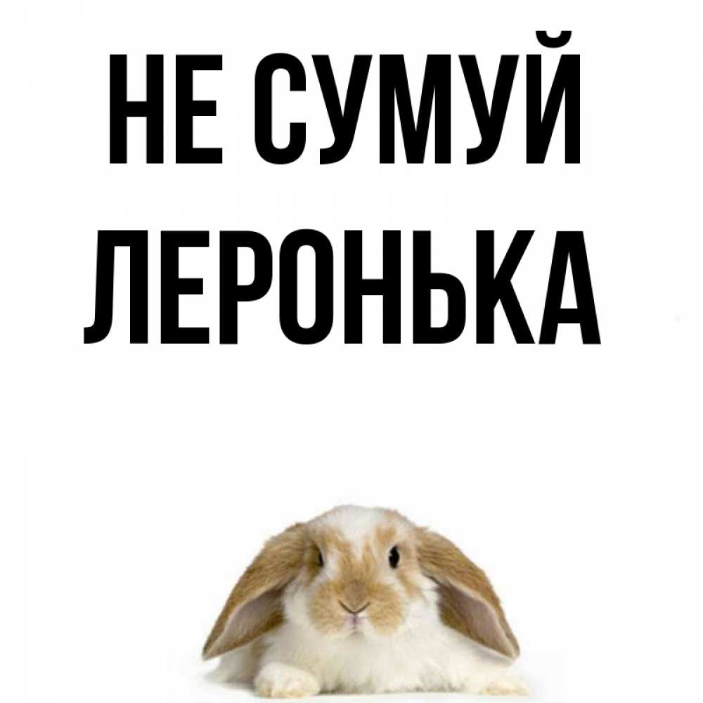 Открытка на каждый день з підписом, Леронька Не сумуй коричнево белый заяц с большими ушками Прикольна листівка з побажанням онлайн скачати безкоштовно 
