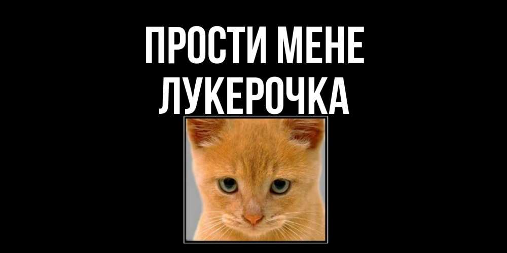 Открытка на каждый день з підписом, Лукерочка Прости мене рыжий грустный кот просит прощения Прикольна листівка з побажанням онлайн скачати безкоштовно 