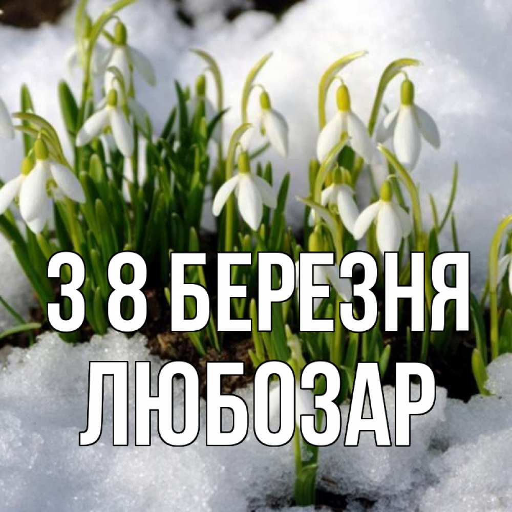 Открытка на каждый день з підписом, Любозар З 8 БЕРЕЗНЯ цветы весенние Прикольна листівка з побажанням онлайн скачати безкоштовно 