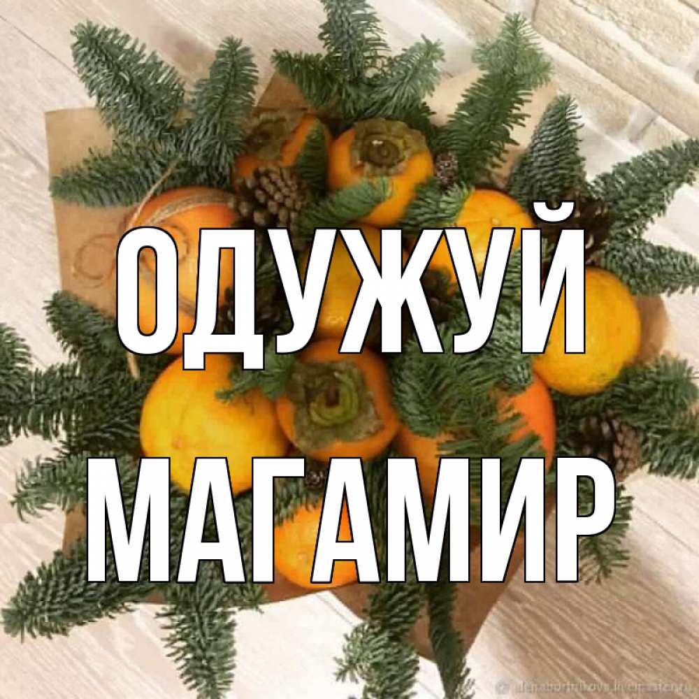 Открытка на каждый день з підписом, Магамир Одужуй апельсины и хурьма Прикольна листівка з побажанням онлайн скачати безкоштовно 