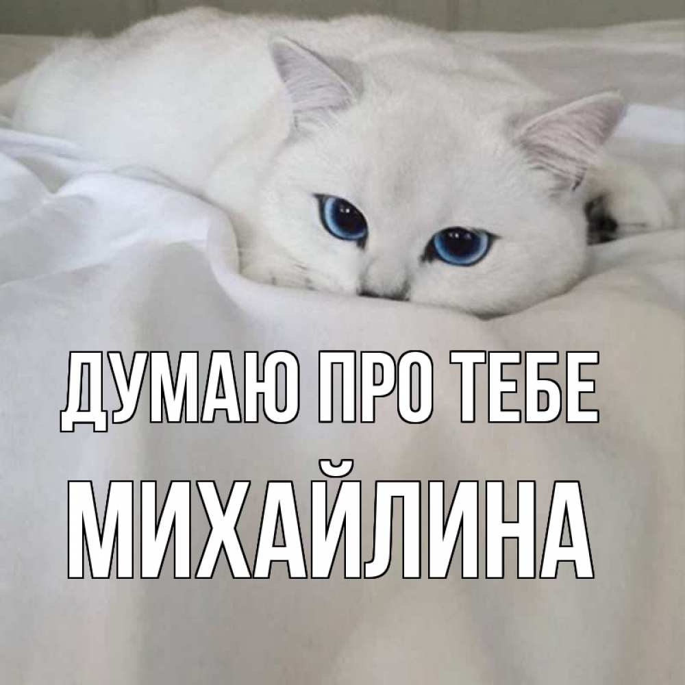 Открытка на каждый день з підписом, Михайлина Думаю про тебе я очень по тебе скучаю и тоскую Прикольна листівка з побажанням онлайн скачати безкоштовно 