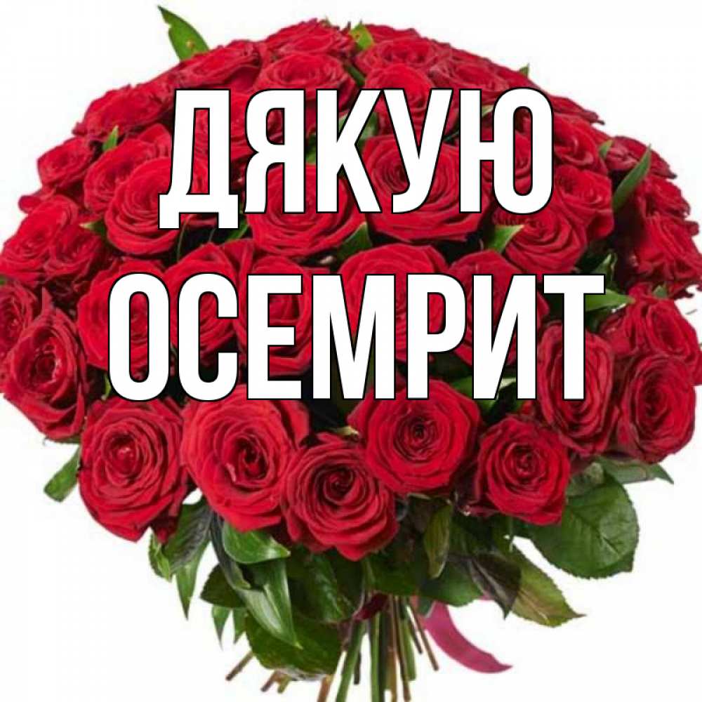 Открытка на каждый день з підписом, Осемрит Дякую букет красных роз Прикольна листівка з побажанням онлайн скачати безкоштовно 