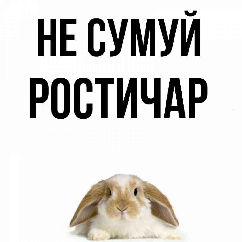 Открытка на каждый день з підписом, Ростичар Не сумуй коричнево белый заяц с большими ушками Прикольна листівка з побажанням онлайн скачати безкоштовно 