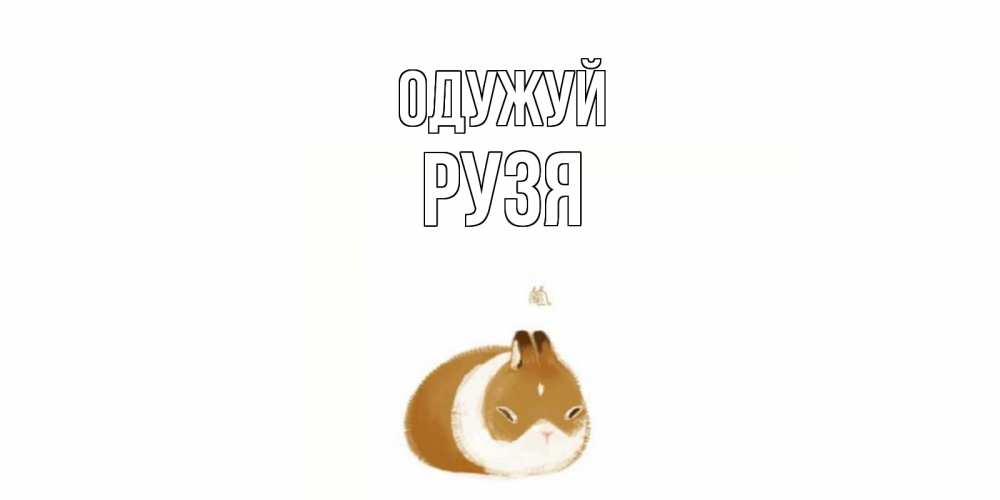 Открытка на каждый день з підписом, Рузя Одужуй морская свинка на открытке с пожеланиями не болеть Прикольна листівка з побажанням онлайн скачати безкоштовно 