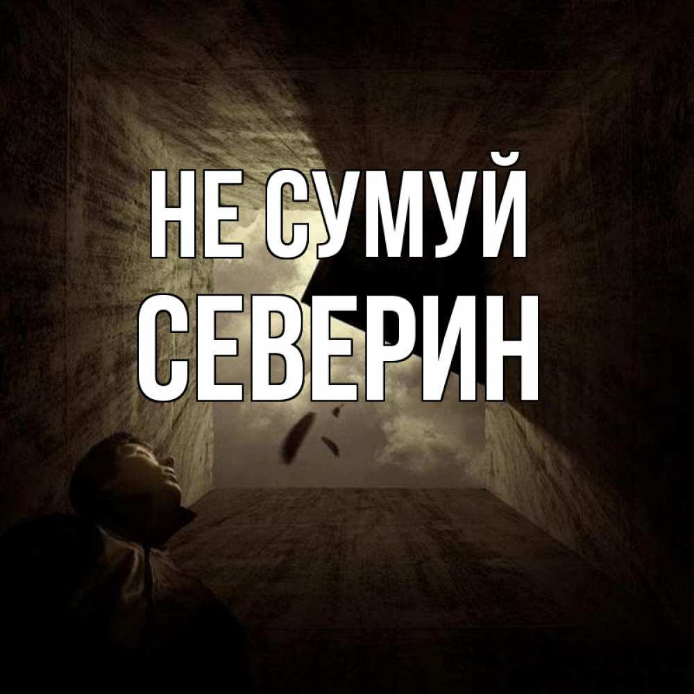 Открытка на каждый день з підписом, Северин Не сумуй жуть Прикольна листівка з побажанням онлайн скачати безкоштовно 