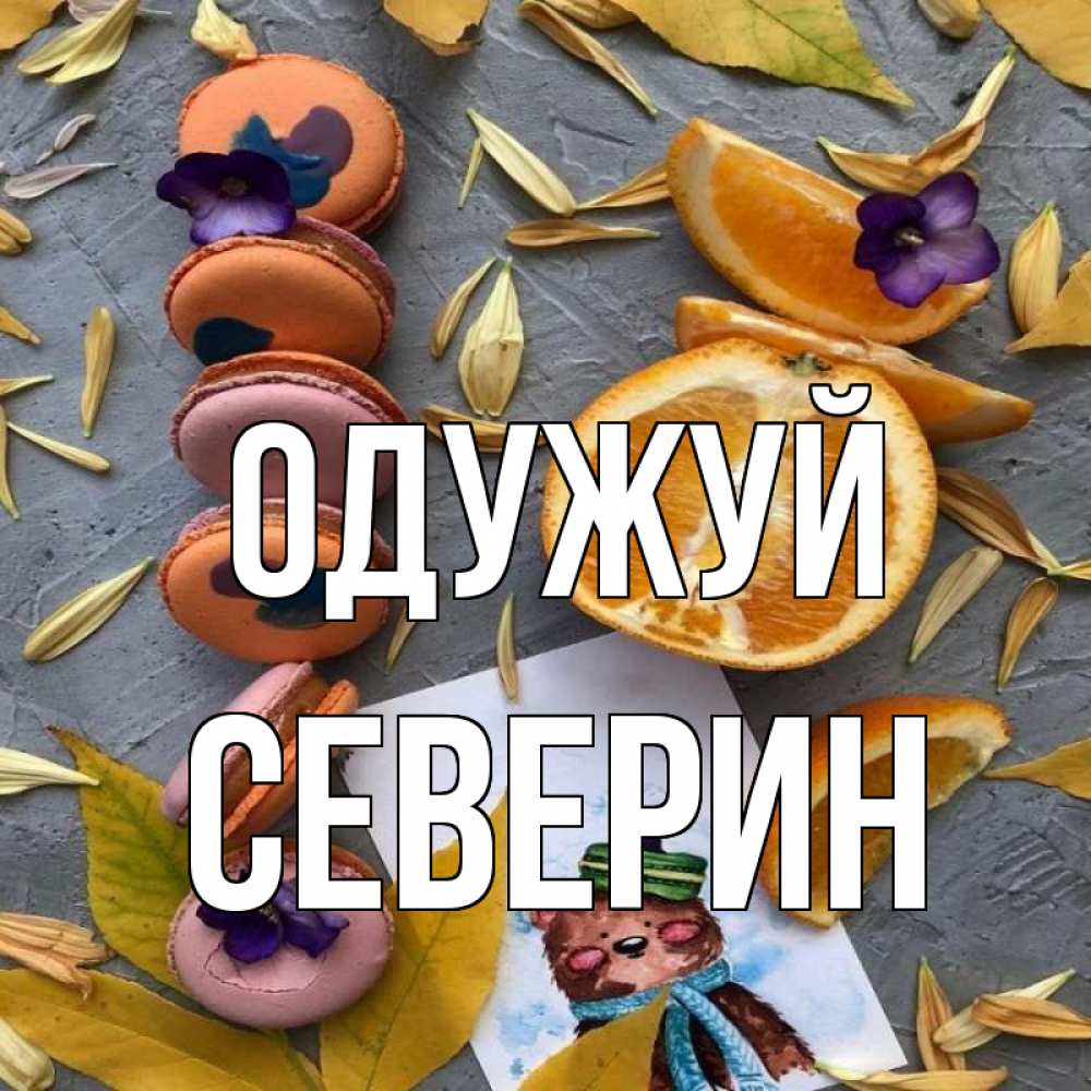 Открытка на каждый день з підписом, Северин Одужуй не болейте Прикольна листівка з побажанням онлайн скачати безкоштовно 