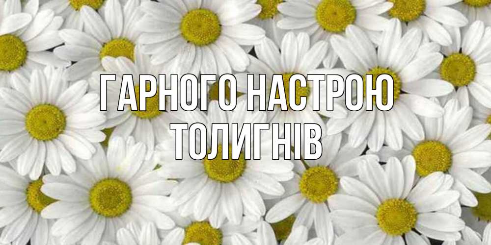 Открытка на каждый день з підписом, Толигнів Гарного настрою поляна ромашек Прикольна листівка з побажанням онлайн скачати безкоштовно 