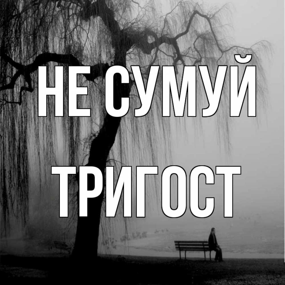 Открытка на каждый день з підписом, Тригост Не сумуй висящие ветки дерева и лавочка под деревом Прикольна листівка з побажанням онлайн скачати безкоштовно 