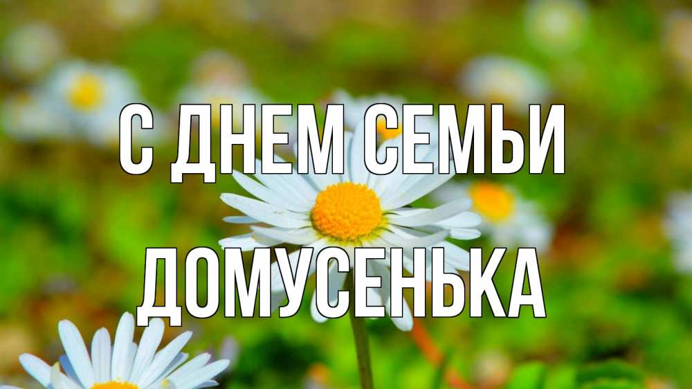 Открытка на каждый день з підписом, Домусенька С днем семьи с днем семьи Прикольна листівка з побажанням онлайн скачати безкоштовно 