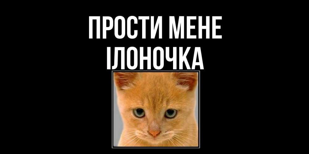 Открытка на каждый день з підписом, Ілоночка Прости мене рыжий грустный кот просит прощения Прикольна листівка з побажанням онлайн скачати безкоштовно 