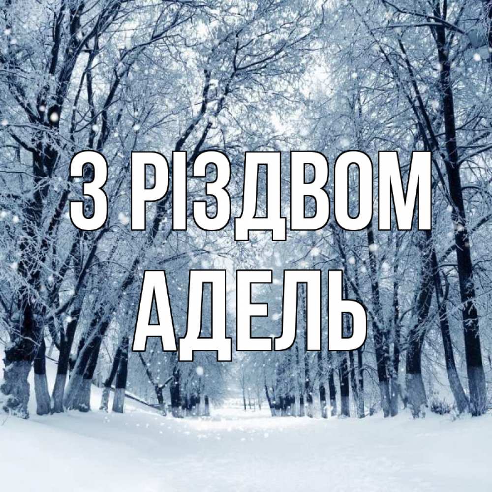 Открытка на каждый день з підписом, Адель З Різдвом снег, лес, парк Прикольна листівка з побажанням онлайн скачати безкоштовно 