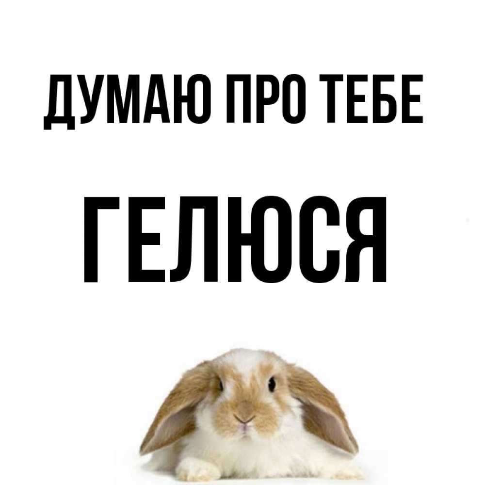 Открытка на каждый день з підписом, Гелюся Думаю про тебе подписать своими руками онлайн Прикольна листівка з побажанням онлайн скачати безкоштовно 