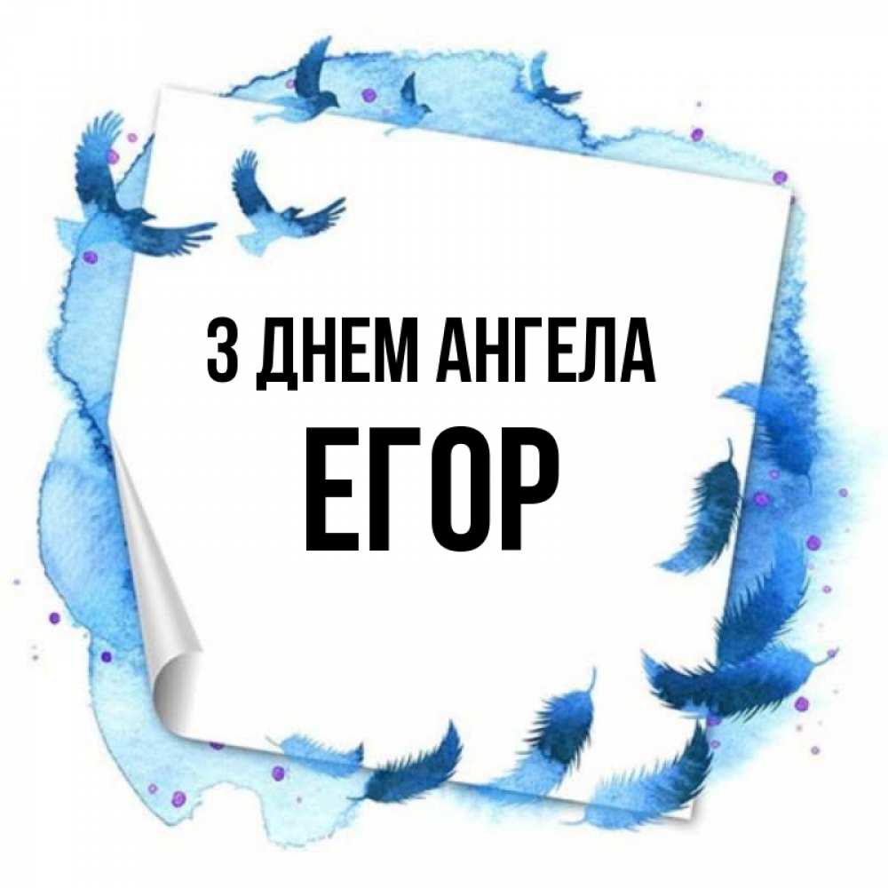 Открытка на каждый день з підписом, Егор З Днем ангела красивые птицы летят Прикольна листівка з побажанням онлайн скачати безкоштовно 