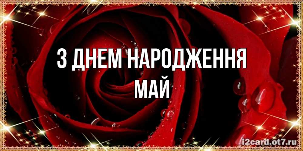 Открытка на каждый день з підписом, Май З Днем народження цветок в росе на день рождения Прикольна листівка з побажанням онлайн скачати безкоштовно 