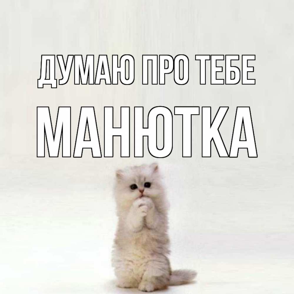 Открытка на каждый день з підписом, Манютка Думаю про тебе кот стоит на задних лапах Прикольна листівка з побажанням онлайн скачати безкоштовно 