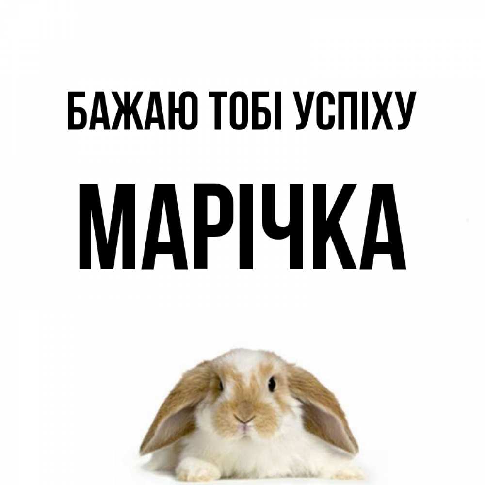Открытка на каждый день з підписом, Марічка Бажаю тобі успіху открытки с произвольным текстом который можно вставить в открытку и создать ее самостоятельно бесплатно онлайн Прикольна листівка з побажанням онлайн скачати безкоштовно 