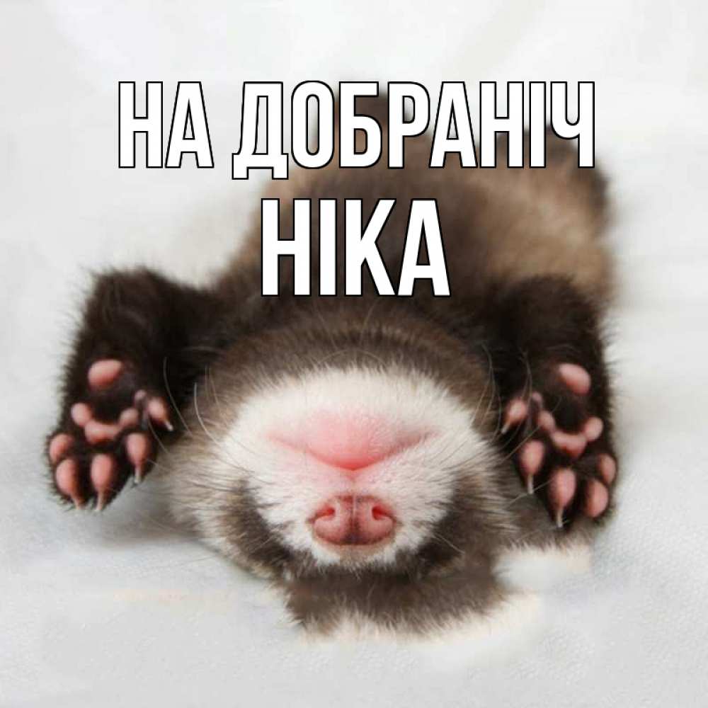 Открытка на каждый день з підписом, Ніка На добраніч зверек Прикольна листівка з побажанням онлайн скачати безкоштовно 