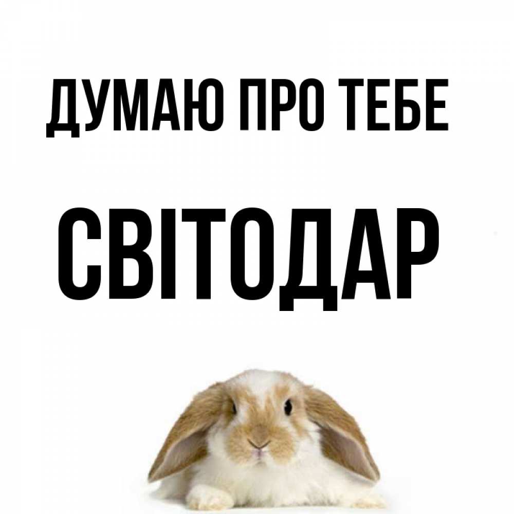 Открытка на каждый день з підписом, Світодар Думаю про тебе подписать своими руками онлайн Прикольна листівка з побажанням онлайн скачати безкоштовно 