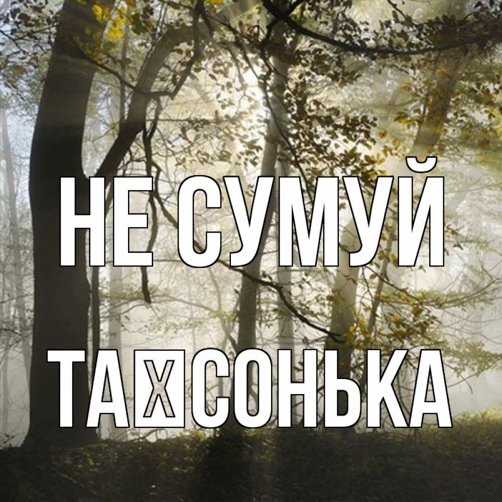 Открытка на каждый день з підписом, Таїсонька Не сумуй лес и свет Прикольна листівка з побажанням онлайн скачати безкоштовно 