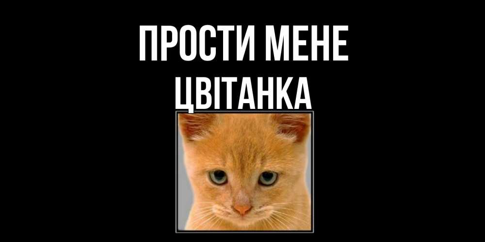 Открытка на каждый день з підписом, Цвітанка Прости мене рыжий грустный кот просит прощения Прикольна листівка з побажанням онлайн скачати безкоштовно 