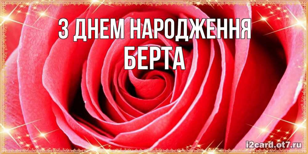 Открытка на каждый день з підписом, Берта З Днем народження розовая роза очень крупный бутон Прикольна листівка з побажанням онлайн скачати безкоштовно 