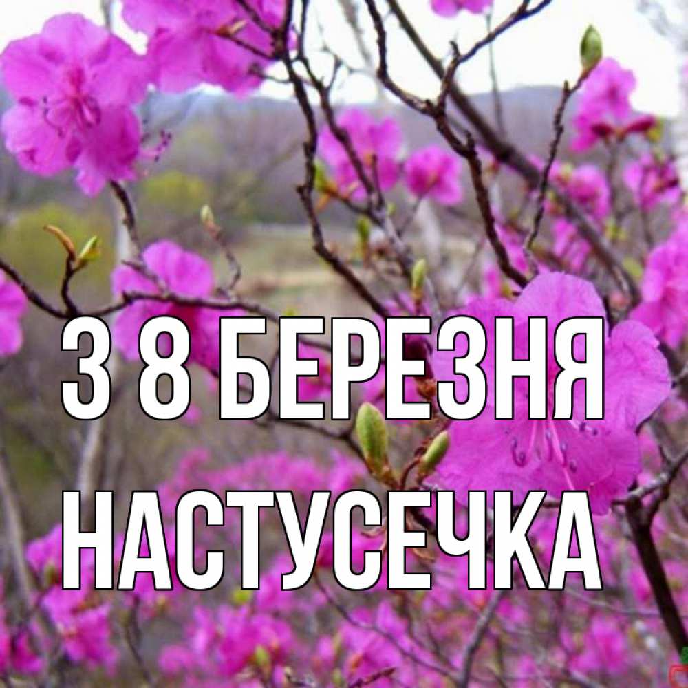 Открытка на каждый день з підписом, Настусечка З 8 БЕРЕЗНЯ международный женский день Прикольна листівка з побажанням онлайн скачати безкоштовно 