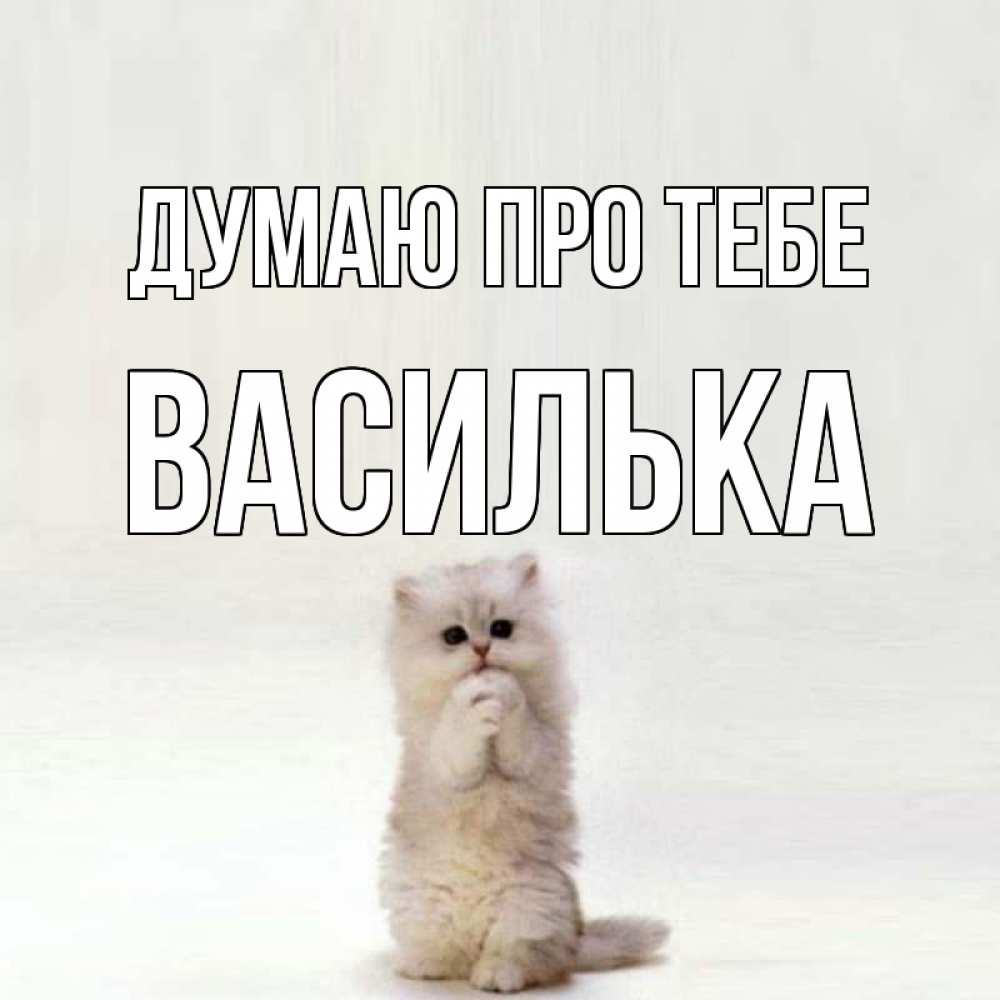 Открытка на каждый день з підписом, Василька Думаю про тебе кот стоит на задних лапах Прикольна листівка з побажанням онлайн скачати безкоштовно 