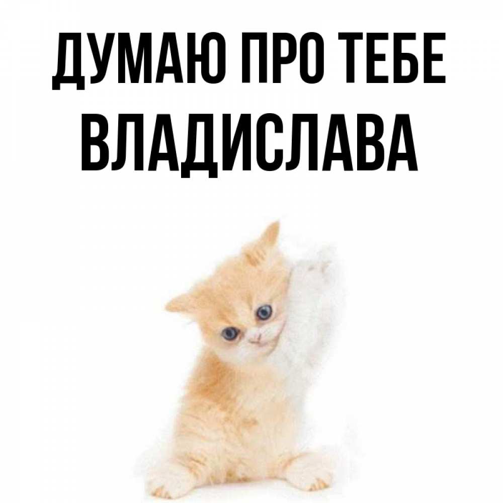 Открытка на каждый день з підписом, Владислава Думаю про тебе зверушки и милота Прикольна листівка з побажанням онлайн скачати безкоштовно 