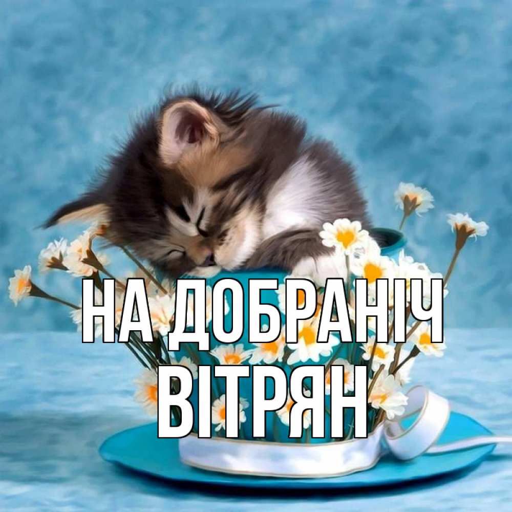 Открытка на каждый день з підписом, Вітрян На добраніч котенок спит в кружке с блюдцем Прикольна листівка з побажанням онлайн скачати безкоштовно 