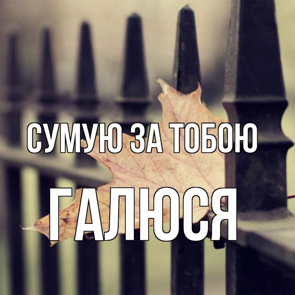 Открытка на каждый день з підписом, Галюся Сумую за тобою очень скучно Прикольна листівка з побажанням онлайн скачати безкоштовно 